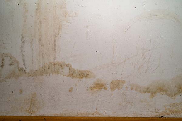 Drywall Servicing Painting Services Drywall Servicing Painting Services