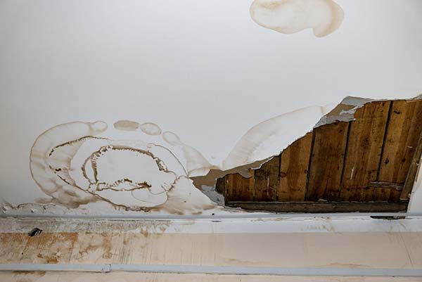 Local Drywall Painting Services Local Drywall Painting Services