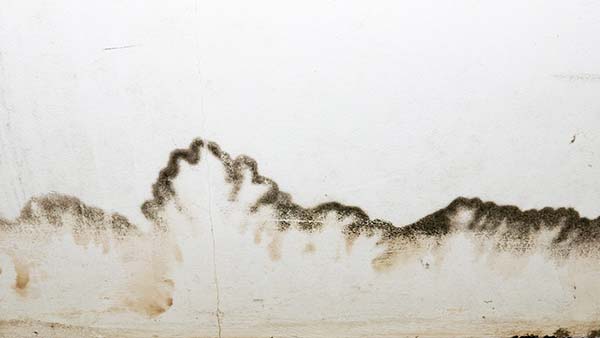 Water Damaged Drywall Repair