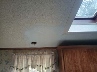 Ceiling Replacement