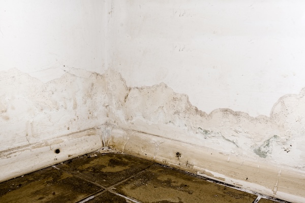 Water Damage