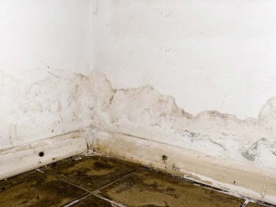 Learn More About Water Damage